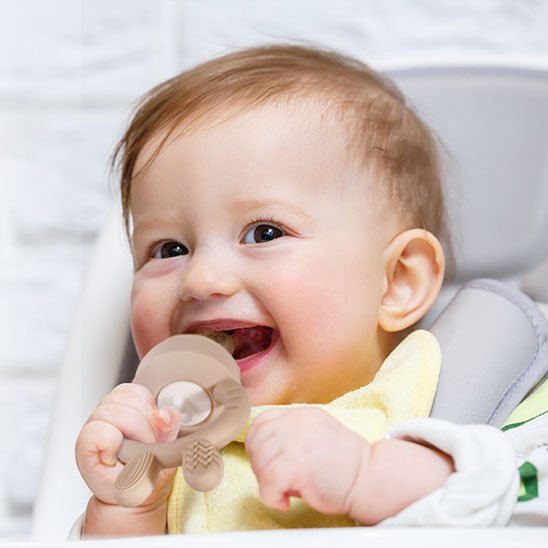 Grignoteuse bebe | Securibulle - Kiabebe